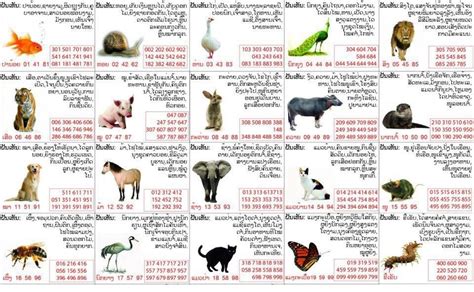 7 min read. . Laos lottery animal numbers